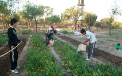 La agricultura como una forma de sustento