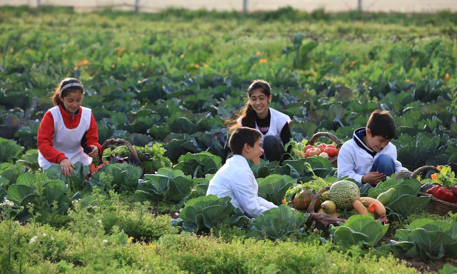 Huerta y niños