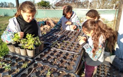 ¡Armá tu propia huerta agroecológica!