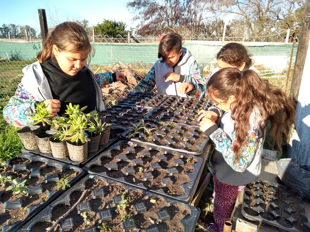 Niños y plantines