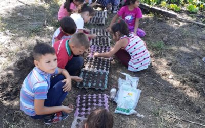 ¡La escuela Nº563 de Chacho empezó el año construyendo la huerta!