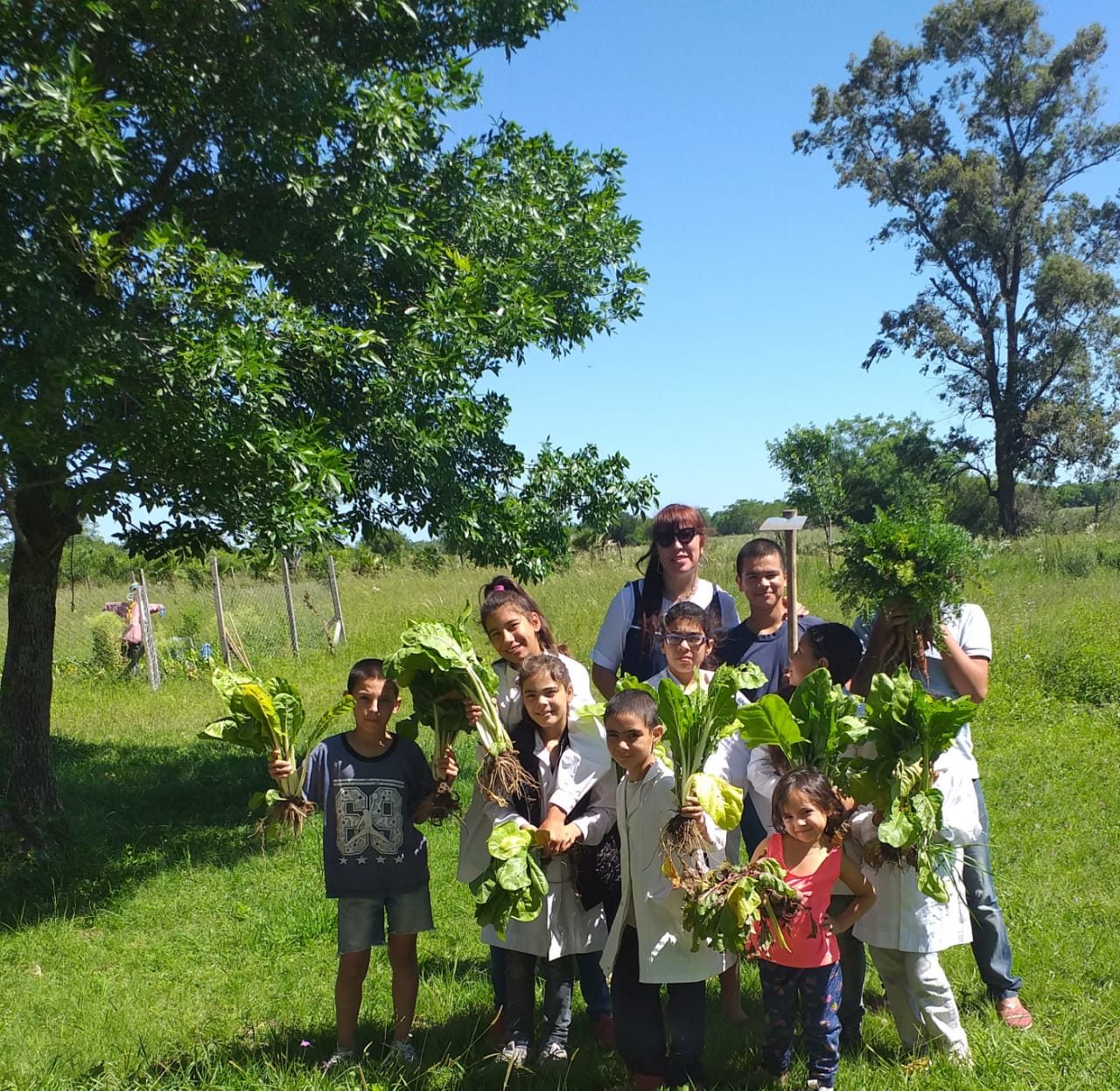 Niños con cosecha