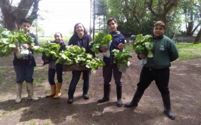 ¡Terminamos un año lleno de desafíos, nuevos Programas y proyectos!