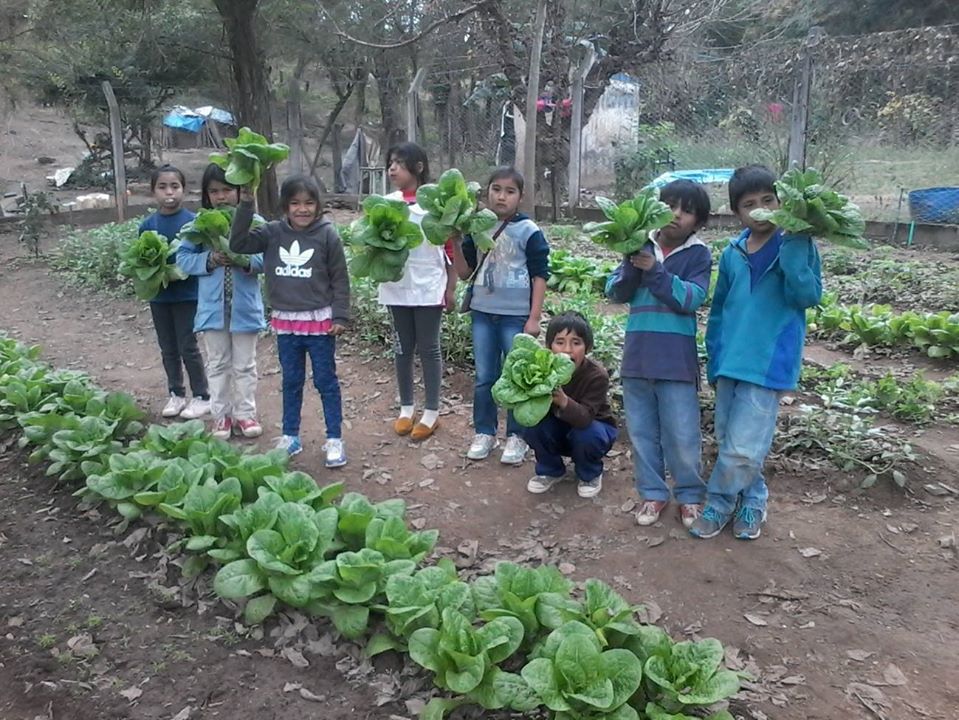 Huerta y espinacas