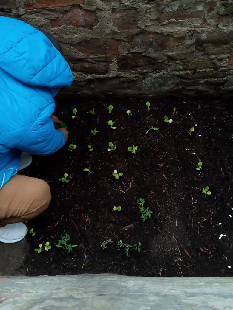 Huerta en casa San Vicente