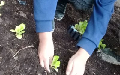 100 familias empiezan su huerta gracias a nuestro Programa «Huertas Familiares»