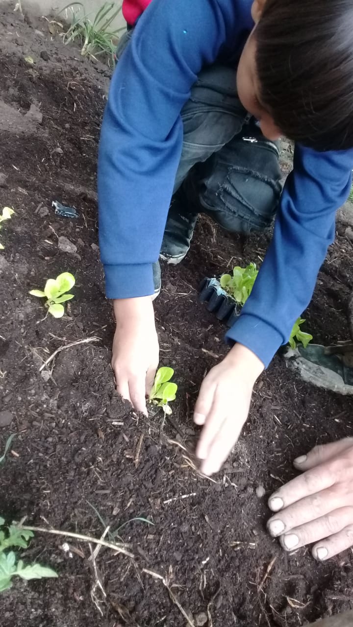 Niño en la huerta