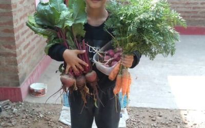 La escuela N° 367 de Chaco nos cuenta sobre sus Huertas En Casa