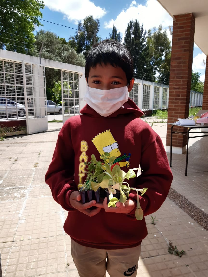 Niño con plantines