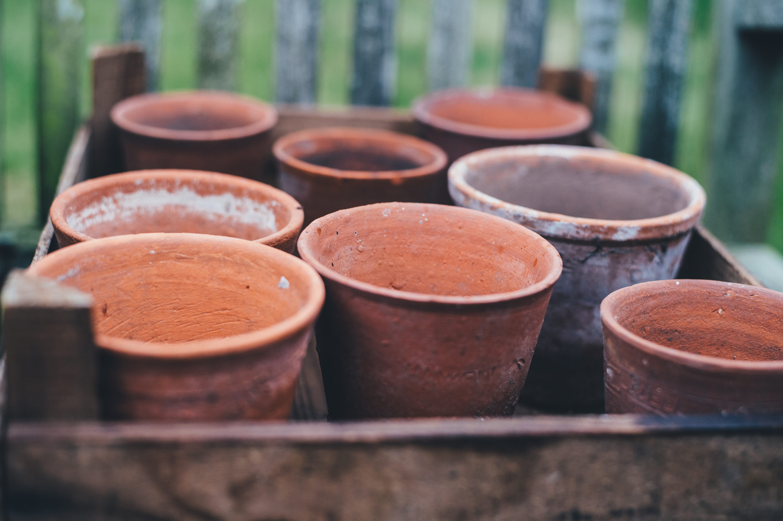 ¡Te compartimos los distintos tipos de contenedores para la huerta!