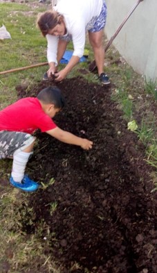 Actividad huerta