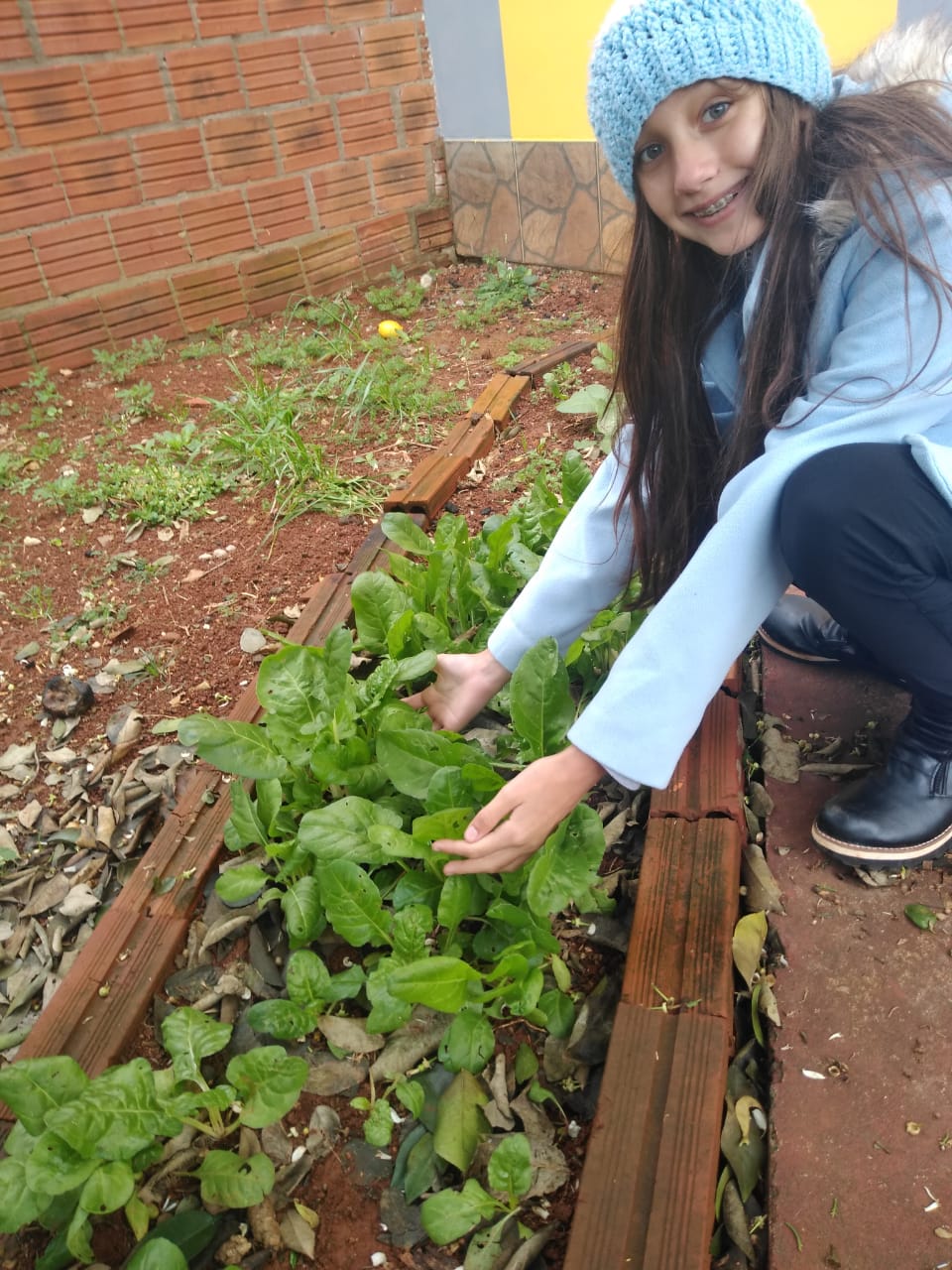 Huerta en Casa Bernardo de Yrigoyen